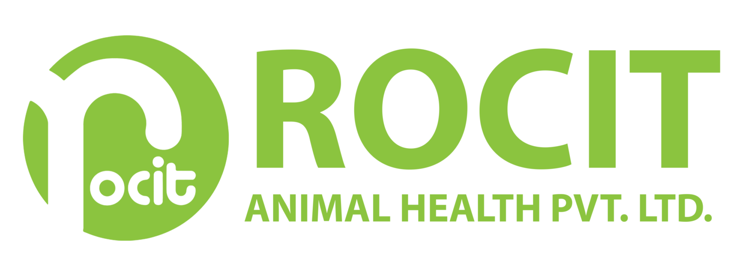 rocit.co.in