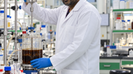 Laboratory Mixing with Overhead Stirrer